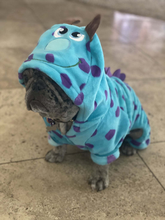 French Bulldog Dinosaur Costume